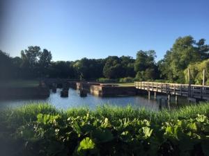 a body of water with a dock and plants at De Nollen in Egmond aan den Hoef
