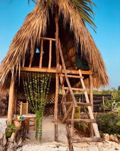 eine Hütte mit Strohdach und Stuhl in der Unterkunft GuaiGüí Bayahibe in Bayahibe