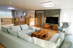 Televízia a/alebo spoločenská miestnosť v ubytovaní Luxury Villa