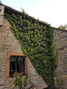 a ivy covered building with a window at La parenthèse in Chimay