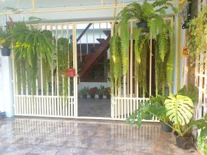 an open door of a building with plants at 297 Nature Residence in Bangkok