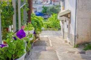 Fotografie z fotogalerie ubytování Skalla Studios v destinaci Limenas + 21 fotografií