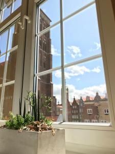 a window with a potted plant on a window sill at Mariacki View Apartment in Gdańsk