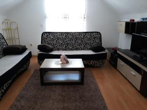 een woonkamer met een bank en een salontafel bij City Apartment in Visoko