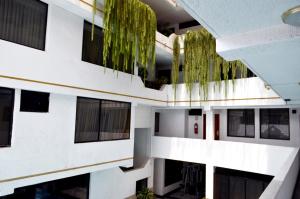 Fotografie z fotogalerie ubytování Hotel la Giralda v destinaci Ibarra