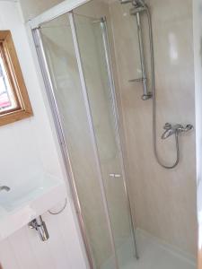 a shower with a glass door next to a sink at The Llama Hut in Kirk Leavington