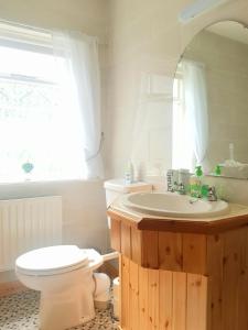 a bathroom with a sink and a toilet and a mirror at Leenan View Country House in Portsalon