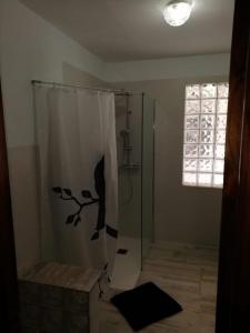 a bathroom with a shower with a glass door at EL KARMELET in Jalón