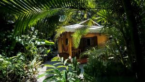 Zahrada ubytování Hotel El Pequeño Gecko Verde
