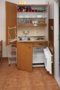 Kuchyň nebo kuchyňský kout v ubytování Apartmani Ujdur