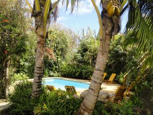 A piscina em ou perto de Hotel Manavai