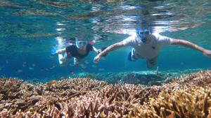 two people swimming over a coral reef at Menjangan Bali Homestay in Banyuwedang