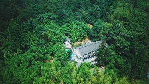 an aerial view of a house in the middle of a forest at July Bamboo Hostel in Deqing