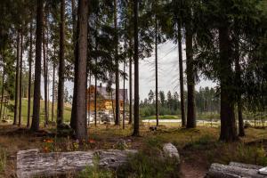 a house in the middle of a forest with trees at Metsjärve apartments in Põlva