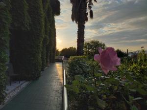 Zahrada ubytování Arha Villa de Suances - Antiguo Albatros