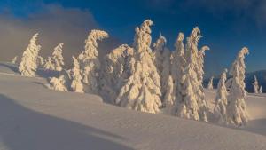 Alpengasthof Grobbauer взимку