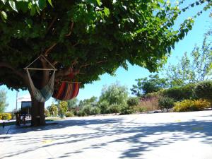Gallery image of Villa Dora in Faliraki