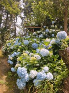 A garden outside 杉林松境休閒農場