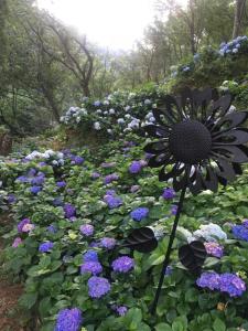 A garden outside 杉林松境休閒農場