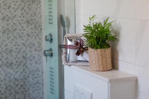 Fotografie z fotogalerie ubytování Apartment Lara v Trogiru