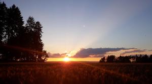 una puesta de sol en un campo con el sol en el cielo en Brachfeld zehneins Ferienwohnung, en Sulz am Neckar