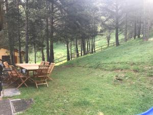 A garden outside Fantastica casa a la Molina amb jardí en plena natura