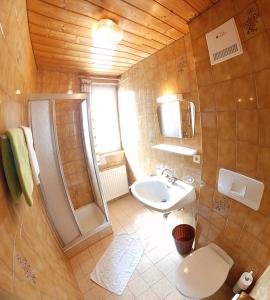a bathroom with a toilet and a shower and a sink at Wastingerhof in Obertilliach