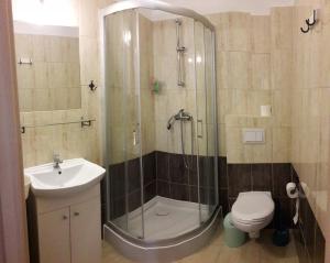 uma casa de banho com um chuveiro, um WC e um lavatório. em Apartamenty Przy Brzegu em Rowy
