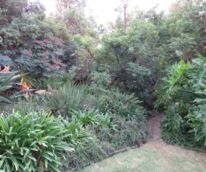 Green Pascua Bed and Breakfast外面的花园