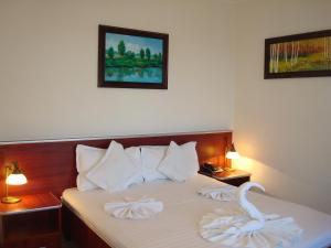 um quarto com uma cama com duas toalhas em Hotel Ami em Baile Felix