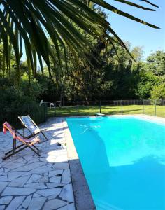 einen blauen Pool mit einem Stuhl und einer Palme in der Unterkunft Le Clos Sainte Foy in Morlaas