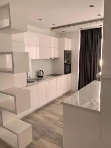 Virtuvė arba virtuvėlė apgyvendinimo įstaigoje AURA Apartments