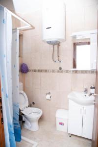 a bathroom with a toilet and a sink at Apartments Nino Skadar lake in Virpazar +45 photos