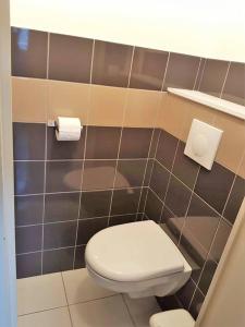 a bathroom with a white toilet and black tiles at Très bel appartement Centre Vitré in Vitré