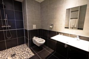 a bathroom with a sink and a toilet at hotel les edelweiss in Cauterets
