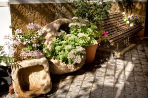 Zahrada ubytování Hostal Soledao