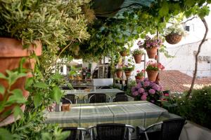 Zahrada ubytování Hostal Soledao