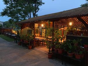 a patio with plants and a table and chairs at Casa Ghemus Costinesti in Costinesti