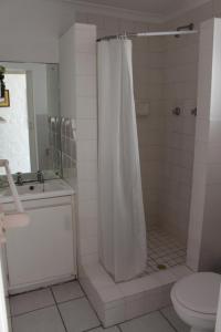 a bathroom with a shower curtain and a toilet at Delightful Surrey Street in Cape Town