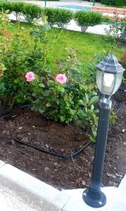 uma luz de rua ao lado de rosas rosas em um jardim em Apart Hotel Iglika em Pomorie
