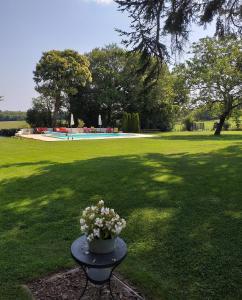 a table with a pot of flowers on a lawn at L'Horizon - Domaine du Vertendre in Saint-Yrieix-la-Perche