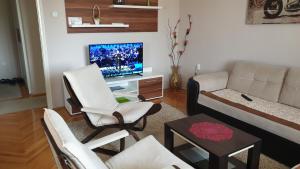 salon z kanapą i telewizorem w obiekcie Apartman Sweet dreams 1 w Niszu