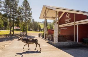 a deer walking in front of a building at Lapland Hotels Sirkant&auml;hti in Levi