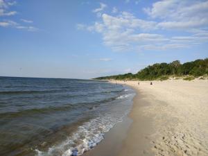 コウォブジェクにあるPokój z aneksem kuchennym blisko plażyの砂浜と水上を歩く人々のいる浜