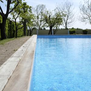 una piscina azul con árboles en el fondo en Flädie Mat & Vingård en Flädie