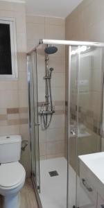 uma casa de banho com um chuveiro, um WC e um lavatório. em Calle Rio Trueba 11 Bajo D em Torremolinos