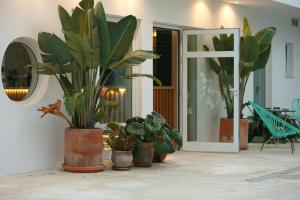 Fotografie z fotogalerie ubytování Hostal Las Cumbres v destinaci Conil de la Frontera