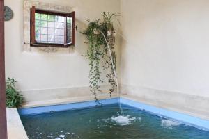 una piscina de agua con una planta en una habitación en Iconic Cretan Stone Mansion en Kambánion