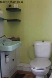 a bathroom with a white toilet and a sink at Hôtel le Dervois in Montier-en-Der