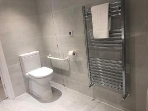 een badkamer met een toilet en een douche bij Tuppenhurst Barn in Rugeley